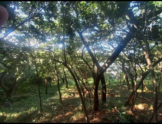 LAND FOR SALE IN SIMBITHI ECO ESTATE